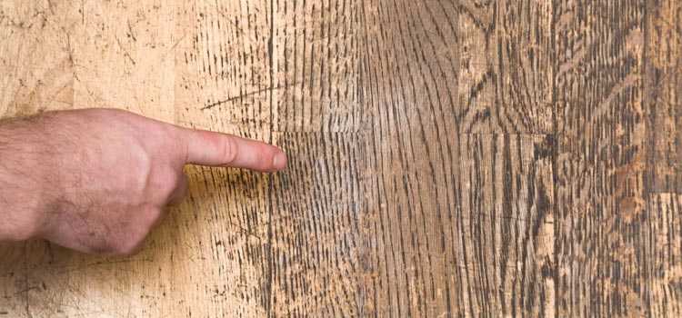 Wood Door Scratch Repair in Midway